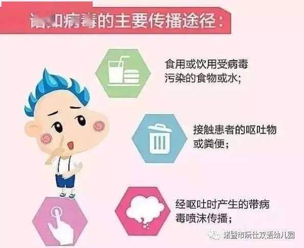 深刻理解諾如病毒 早防護，享健康——專業知識與保健課堂全指引